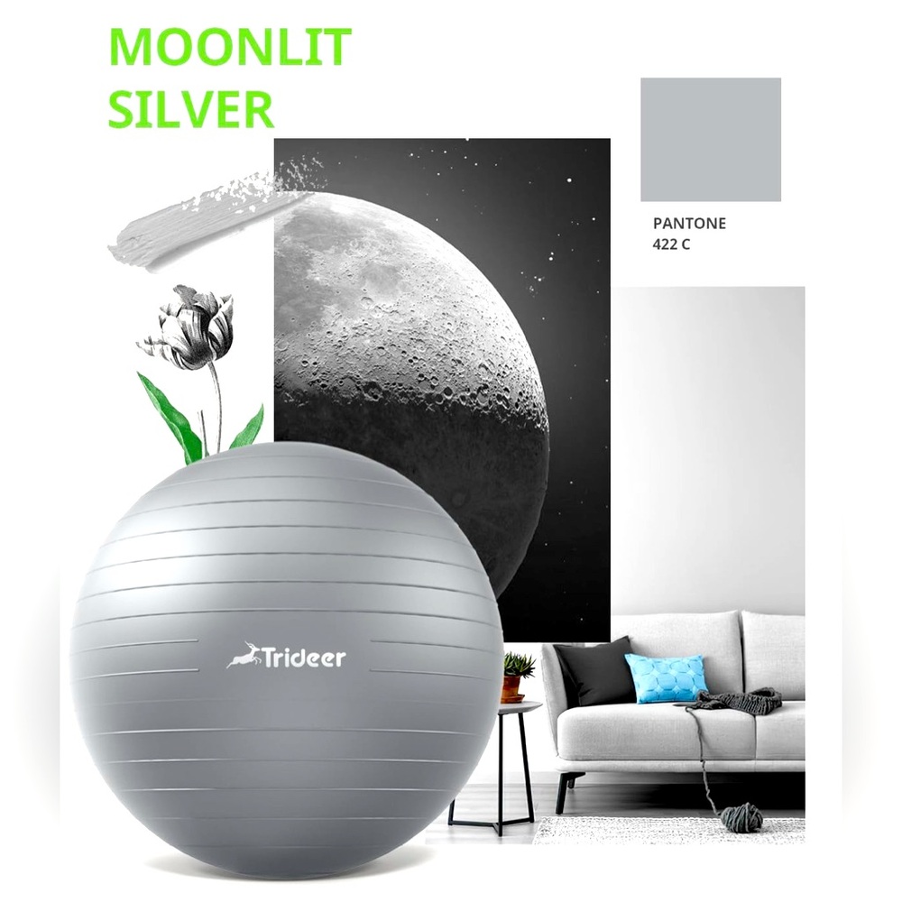 NIB🔥Trideer PREMIUM Exercise BALL- XL Moonlit Silver